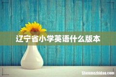 辽宁省小学英语什么版本