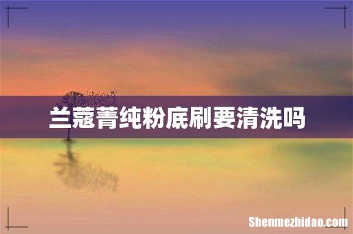 兰蔻菁纯粉底刷要清洗吗