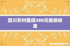 四川农村医保380元报销标准