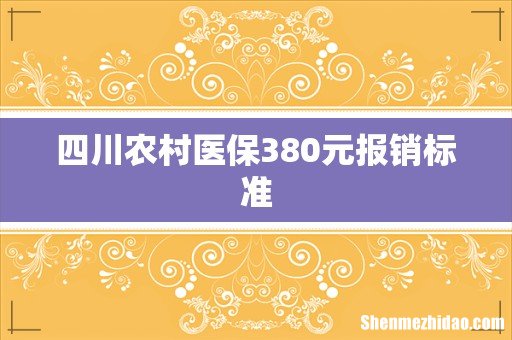 四川农村医保380元报销标准