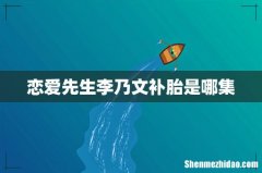 恋爱先生李乃文补胎是哪集