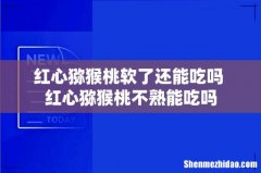 红心猕猴桃软了还能吃吗 红心猕猴桃不熟能吃吗
