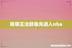 姚明王治郅谁先进入nba