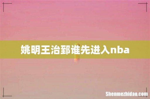 姚明王治郅谁先进入nba