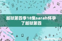 越狱第四季18集sarah怀孕了越狱第四