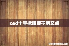 cad十字标捕捉不到交点