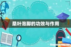 桑叶泡脚的功效与作用