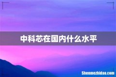 中科芯在国内什么水平