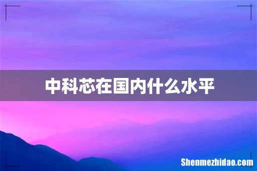 中科芯在国内什么水平
