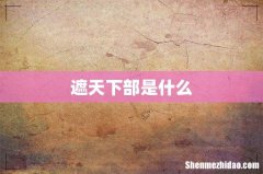 遮天下部是什么
