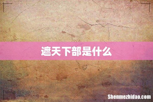 遮天下部是什么