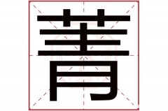 饰字五行是多少 饰字五行是多少笔画