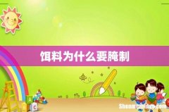 饵料为什么要腌制