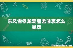东风雪铁龙爱丽舍油表怎么显示