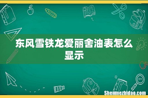 东风雪铁龙爱丽舍油表怎么显示
