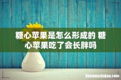 糖心苹果是怎么形成的 糖心苹果吃了会长胖吗