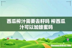 西瓜榨汁需要去籽吗 榨西瓜汁可以加蜂蜜吗