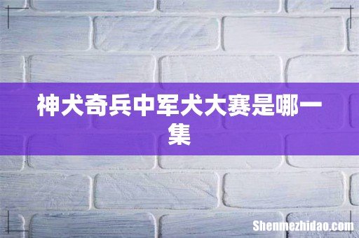 神犬奇兵中军犬大赛是哪一集