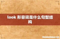 look+形容词是什么句型结构