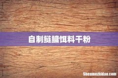 自制鲢鳙饵料干粉