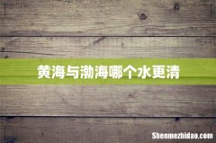 黄海与渤海哪个水更清