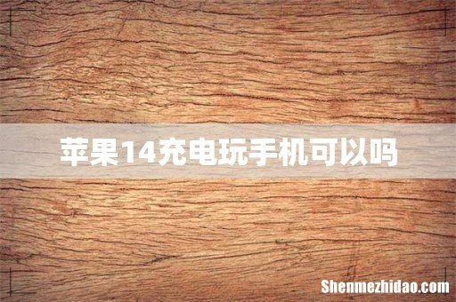 苹果14充电玩手机可以吗