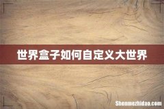世界盒子如何自定义大世界