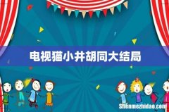 电视猫小井胡同大结局