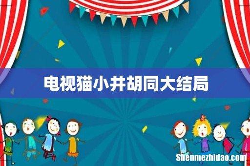 电视猫小井胡同大结局