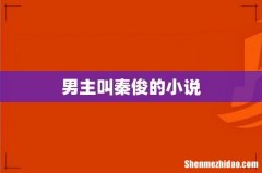 男主叫秦俊的小说