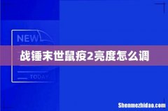 战锤末世鼠疫2亮度怎么调