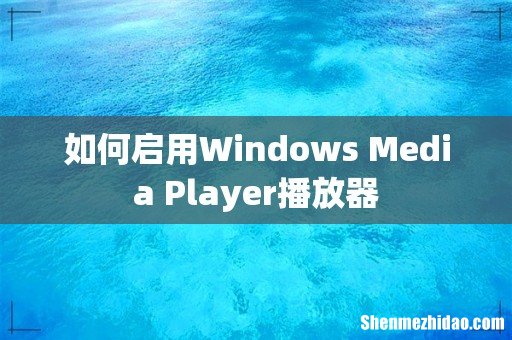 如何启用Windows Media Player播放器