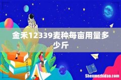 金禾12339麦种每亩用量多少斤
