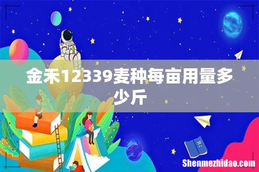 金禾12339麦种每亩用量多少斤