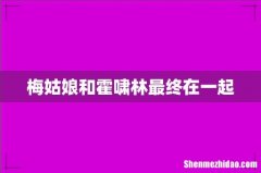 梅姑娘和霍啸林最终在一起