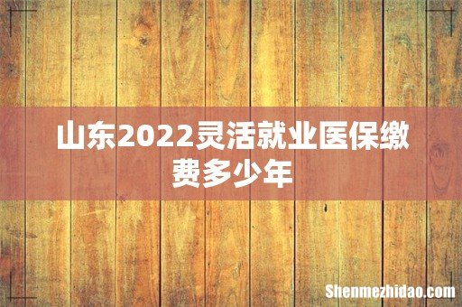 山东2022灵活就业医保缴费多少年