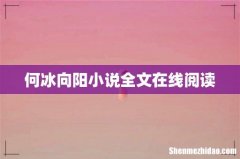 何冰向阳小说全文在线阅读