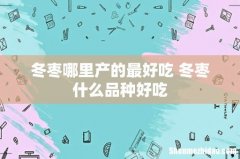 冬枣哪里产的最好吃 冬枣什么品种好吃