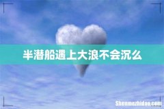 半潜船遇上大浪不会沉么