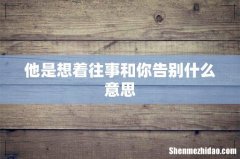 他是想着往事和你告别什么意思