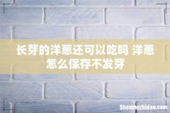 长芽的洋葱还可以吃吗 洋葱怎么保存不发芽