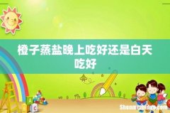 橙子蒸盐晚上吃好还是白天吃好