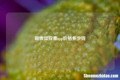 刷微信投票app价格多少钱