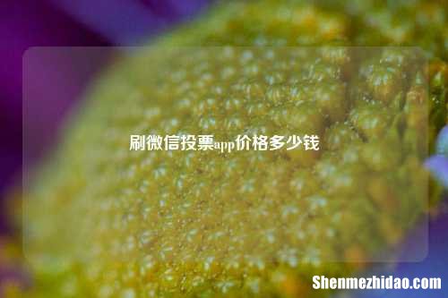 刷微信投票app价格多少钱