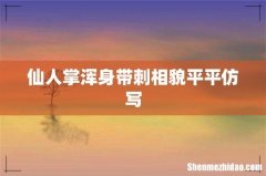 仙人掌浑身带刺相貌平平仿写