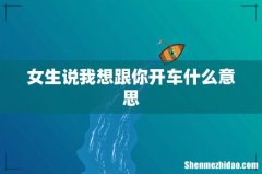 女生说我想跟你开车什么意思
