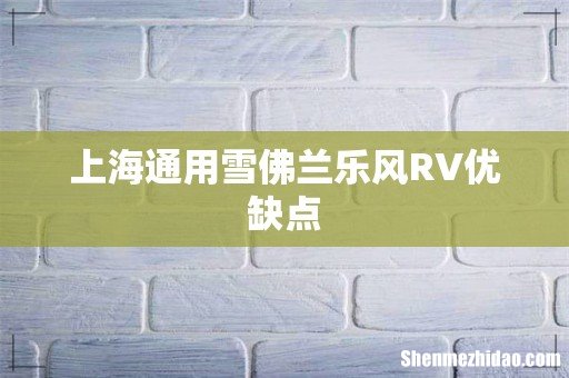 上海通用雪佛兰乐风RV优缺点
