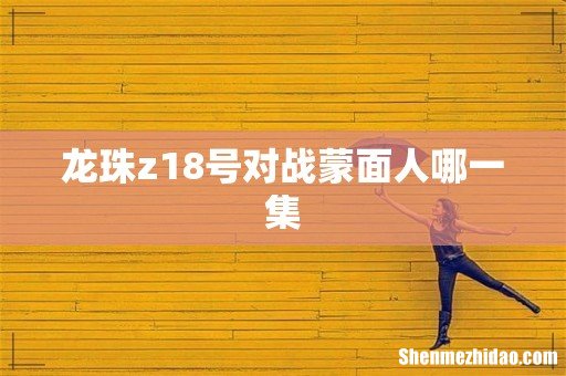 龙珠z18号对战蒙面人哪一集