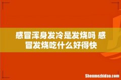 感冒浑身发冷是发烧吗 感冒发烧吃什么好得快