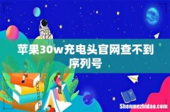 苹果30w充电头官网查不到序列号